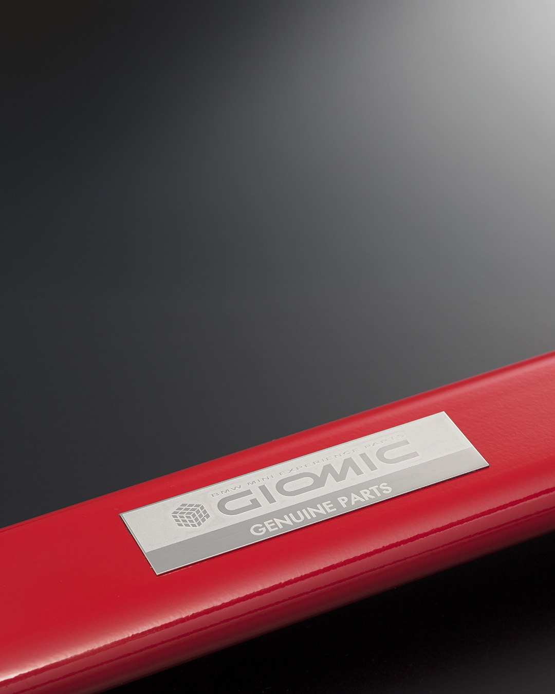 GIOMIC Member Brace detail